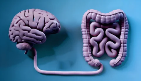 Gut-brain axis