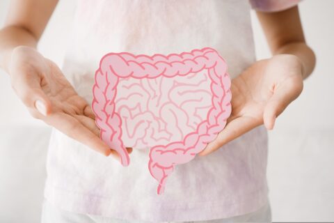 Probiotics and digestive health