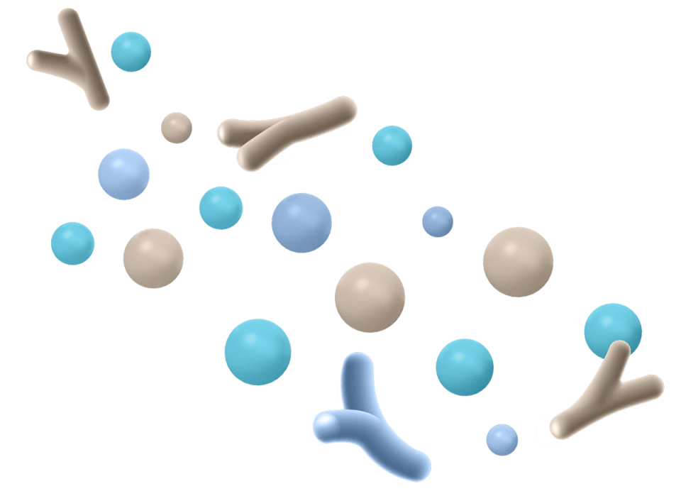 Probiotic strains