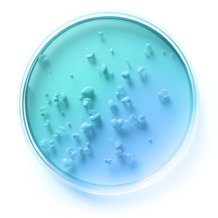 Probiotic cell